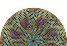When Science is Art and Art is Science