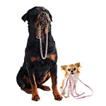 Dogs-With-CollarLeash-35258855