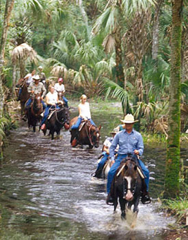 Foververflorida-eco-safari