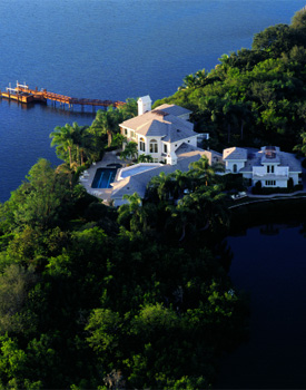 Mangroves
