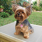Molly