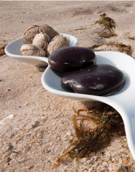 Sea-Beans