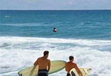 Surfin’ Incorporated