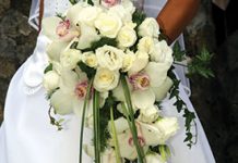 The Language Of Flowers