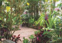 Winnie’s Magic Garden