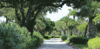 Cycling And Recycling Jungletrail