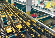Farming For the Future Img Citrus Packinghouse Courtesy Img Citrus