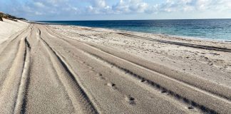 Beach Renourishment 210507 Kelly Rogers Img 6694