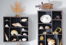 Jewels of the Sea Shells On Wall 210510 Kelly Rogers Dsc 0638