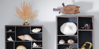 Shells On Wall 210510 Kelly Rogers Dsc 0638