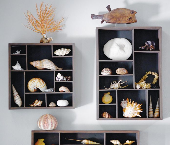 Shells-on-wall-210510-Kelly-Rogers-DSC_0638 Shells On Wall 210510 Kelly Rogers Dsc 0638