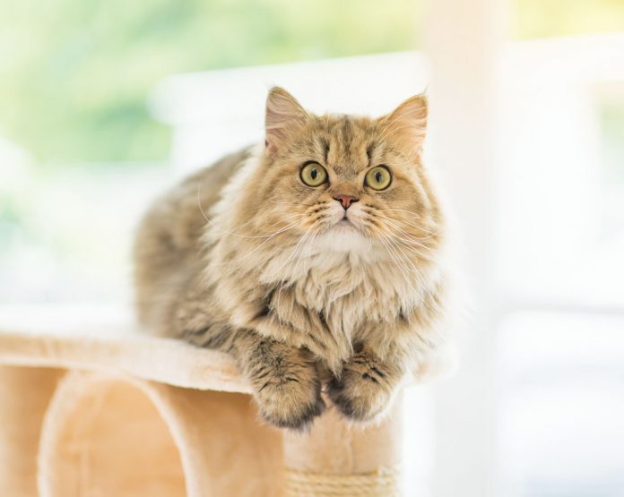 web-shutterstock_491542315 Web Shutterstock 491542315