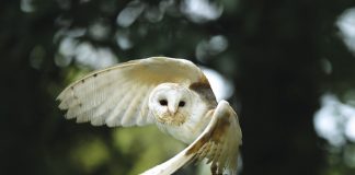Shutterstock 453186499