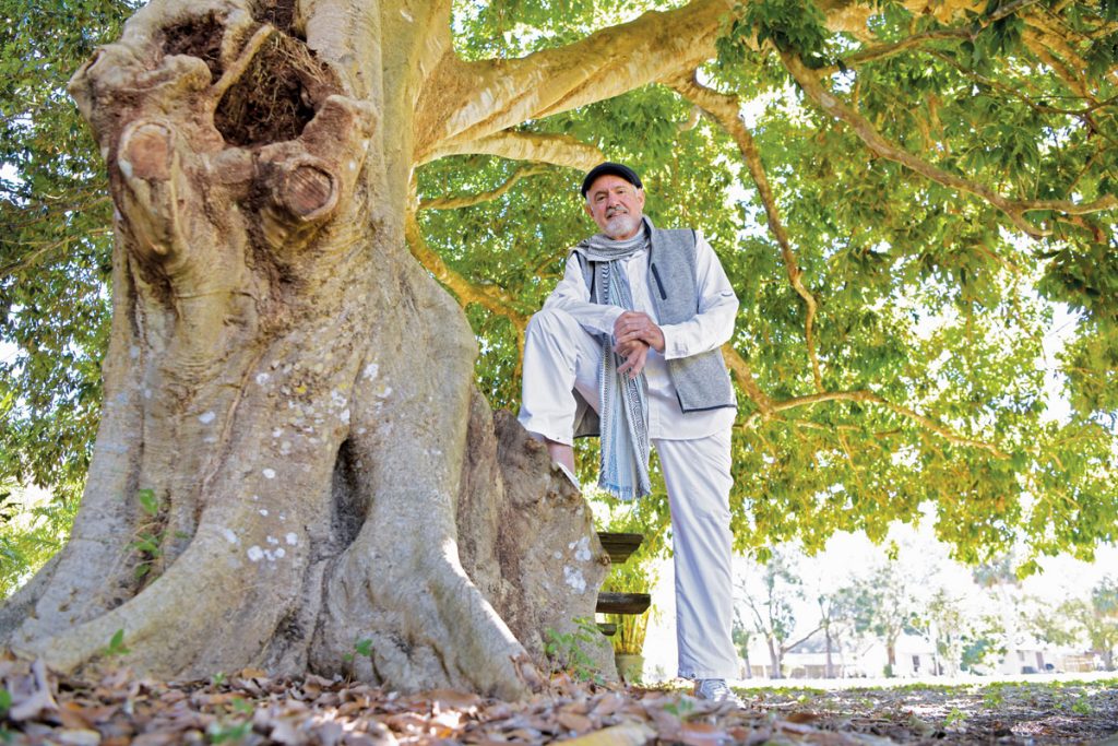 Artist Ross Power plans to turn the area underneath the lychee tree at his Edgewood neighborhood home in the Vero Beach Art Village. Photo by Kelly Rogers