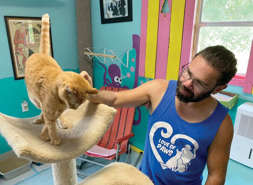 Ted Pankiewicz Jr. has plans to expand the cat cottage in Fellsmere with a second barn to house surrendered cats. Photo by Kelly Rogers