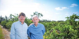 Father and son Henry F. and Louis Schacht, second- and third-generation grove men respectively, are carrying on the work of Henry H. Schacht, who fell in love with citrus in the 1920s. Photo by Martina Tannery
