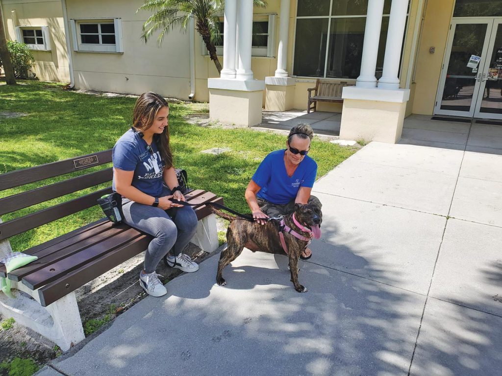 Animal Care Manager Grace Mignone and volunteer Cathy Guinn take Yoda for a walk