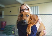 Everyday Miracles at Local Animal Shelters Kristen Johnson makes time to give this lucky pooch some love