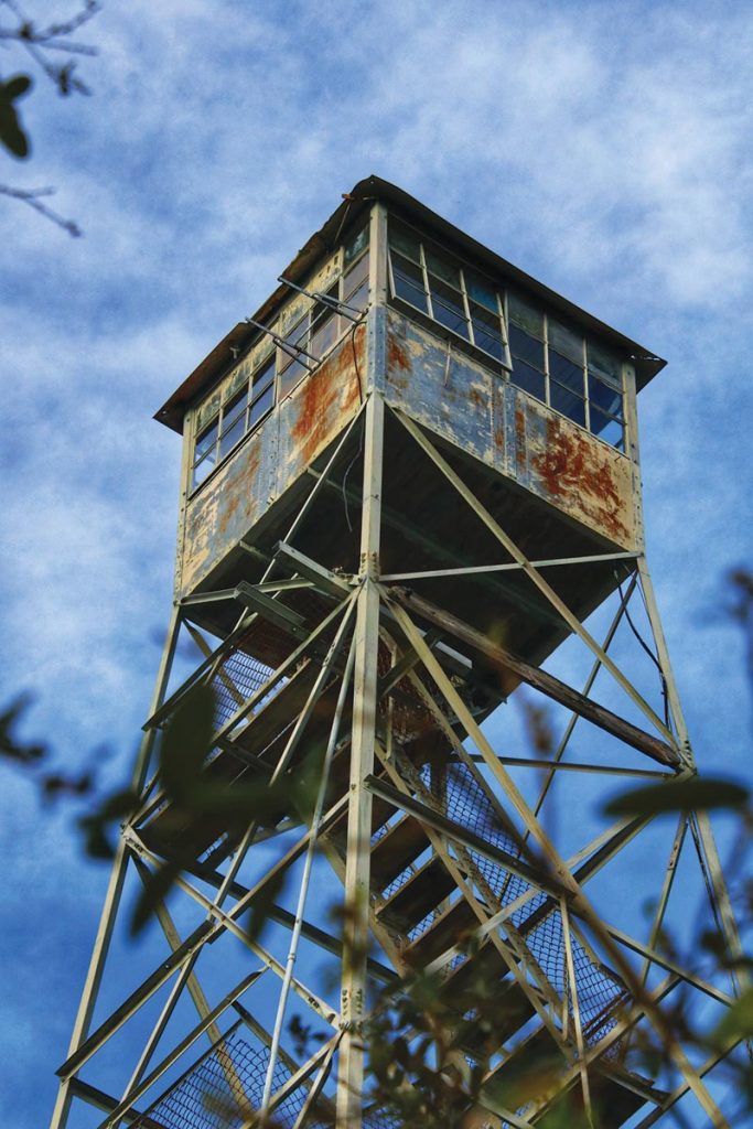 Photo by Richard Lane, 4th Street Forestry Tower