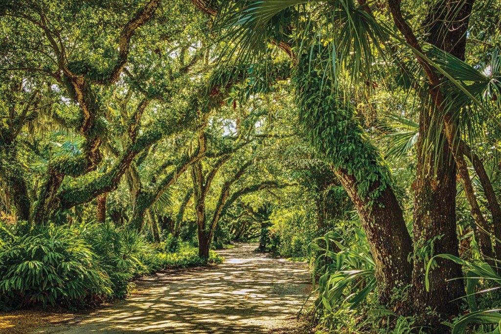 Winner of Streets & Neighborhoods, photo by Bob Joy