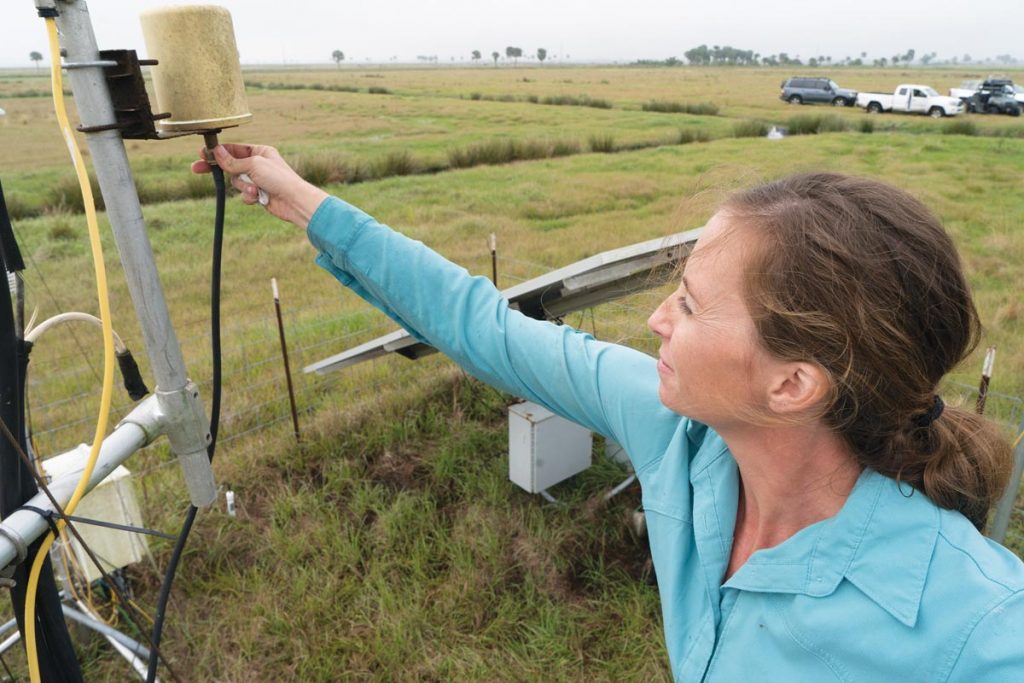 Betsey Boughton checks one of the many sensors on Buck Island Ranch. This one measures atmospheric fluctuations. Photo by Carlton Ward