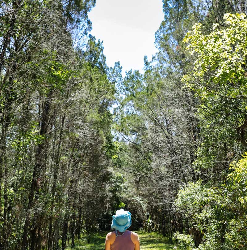 Photo by Mick Haupt via Unsplash