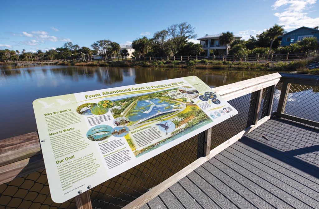 The Jones Pier Conservation Area on Jungle Trail is a habitat designed to help preserve the health of the lagoon, complete with a living shoreline. Photo by Sam Wolfe