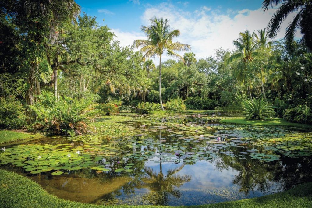 Blooming water lilies blanket the ponds inside McKee Botanical Garden. Photo by Martina Tannery