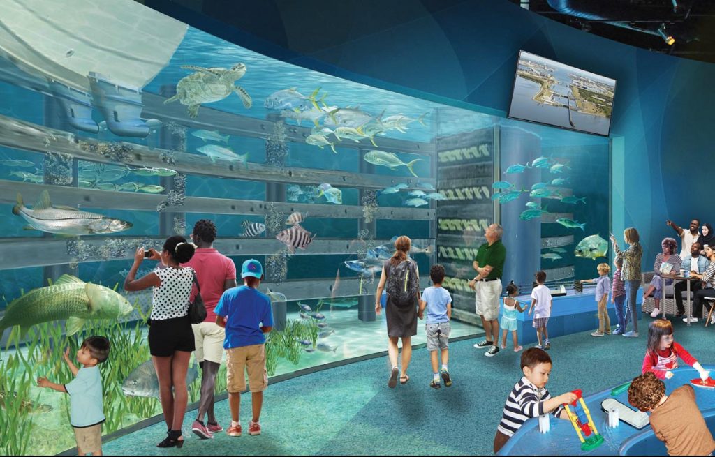 Artists’ renderings offer a preview of the interior and exterior of the East Coast Zoological Society’s planned Aquarium and Conservation Center, set to open in 2027