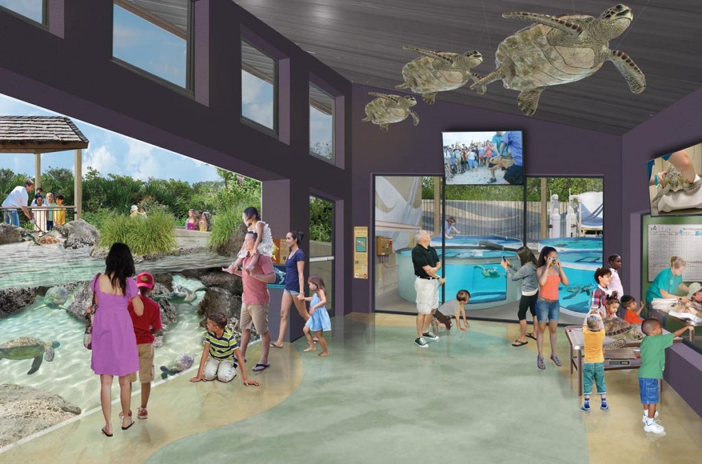 At the new aquarium, visitors will get an inside look at sea turtle and manatee rehabilitation, and little ones will enjoy interactive, hands-on learning experiences