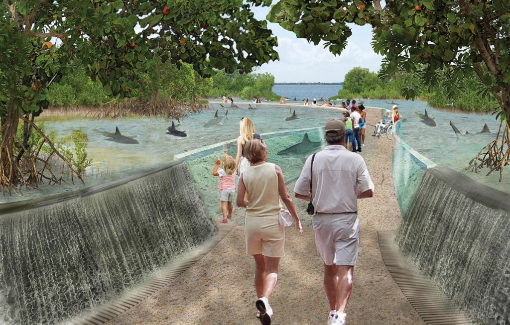 At the new aquarium, visitors will walk through shark flats