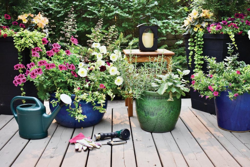 Colorful pots of flowering plants.