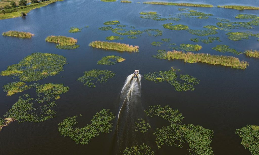 Blue Cypress Recreation Area is a popular place for airboat tours. Photo by Sam Wolfe