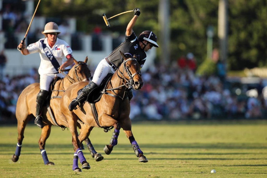 Rules allow for four players on each team on the field, multiple horses at the ready for each rider, and mallets to be held only in the right hand. Photo © David Lominska