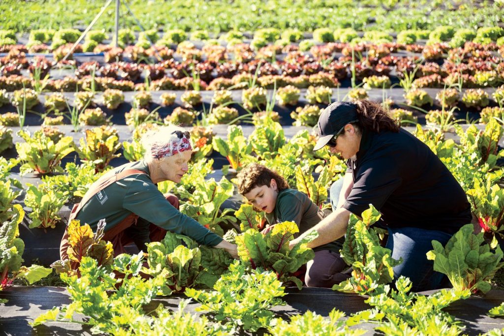 Employee Nancy Wallace, Knoxx, and mom:farm manager Aubrey Temple inspect some of the 47 varieties of plantings at the farm. Photo by Steven Martine