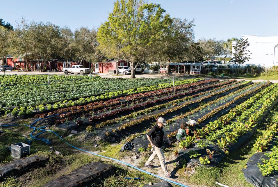 The 5-acre organic farm is tucked away along County Road 510 between a strip mall, a grocery store, and a subdivision. Photo by Steven Martine