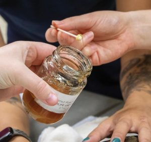 Capocollo receives honey treatment on flipper injury. Photo courtesy of Brevard Zoo’s Sea Turtle Healing Center
