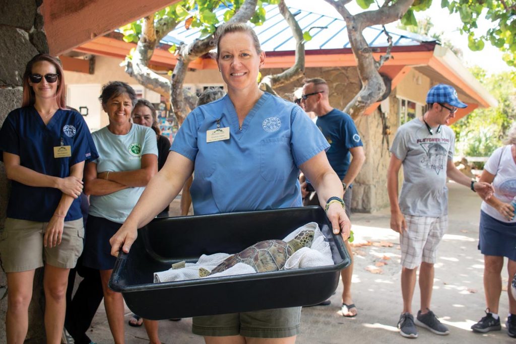 Gann carries Kernel, a green sea turtle rehabbed at the Sea Turtle Healing Center, to its release back into the Atlantic in 2019. Photo courtesy Brevard Zoo’s Sea Turtle Healing Center