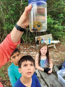 Students examine specimens macroscopically. Photo by Heather Kramer