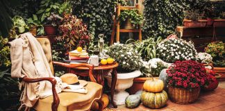 November in Florida invites us outside to enjoy comfortable seating, colorful plants, and, on most days, cooler weather. Photo courtesy of iStock