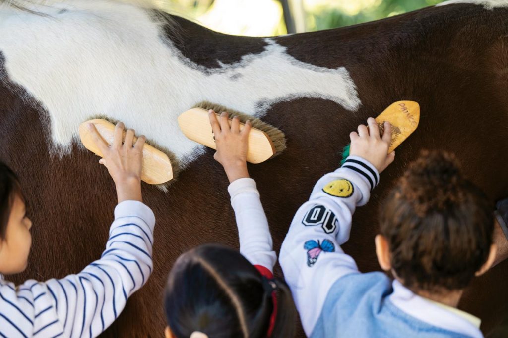 Children brushing the horses. Photo by Steven Martine