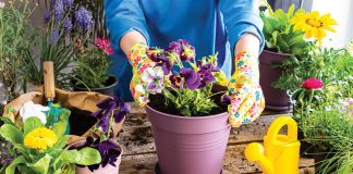 Flowerpot choices are important when deciding where to place them in your garden. Photo courtesy of iStock