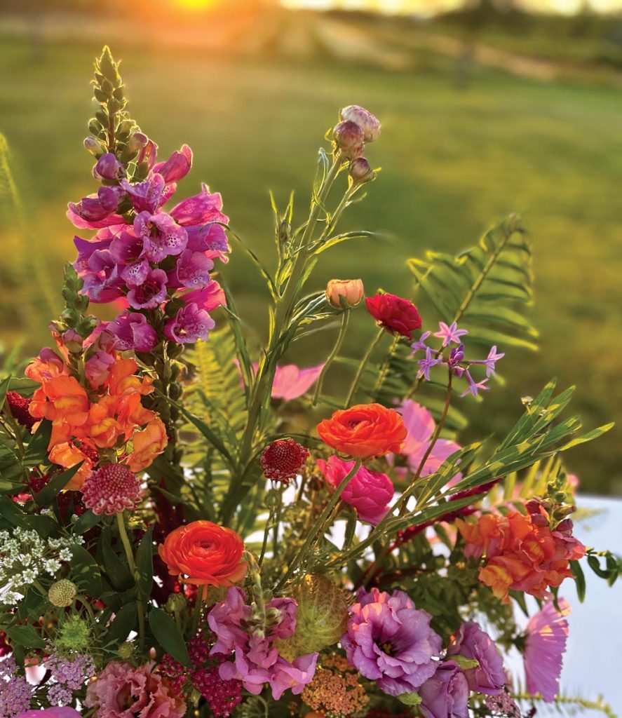 Pura Vida Flower Farm. Photo by Natalie Greenlaw