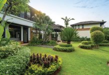 Getting Your Home Turf Ready for Summer Only when your grass begins showing true distress should watering commence. Photo courtesy of Adobe Stock