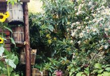 Preparing Your Home Garden for Rainy Season Correct placement of your rain garden is important to its success. Photo courtesy of iStock