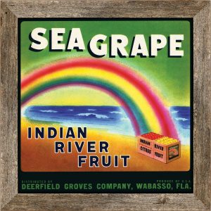 Sea Grape citrus label