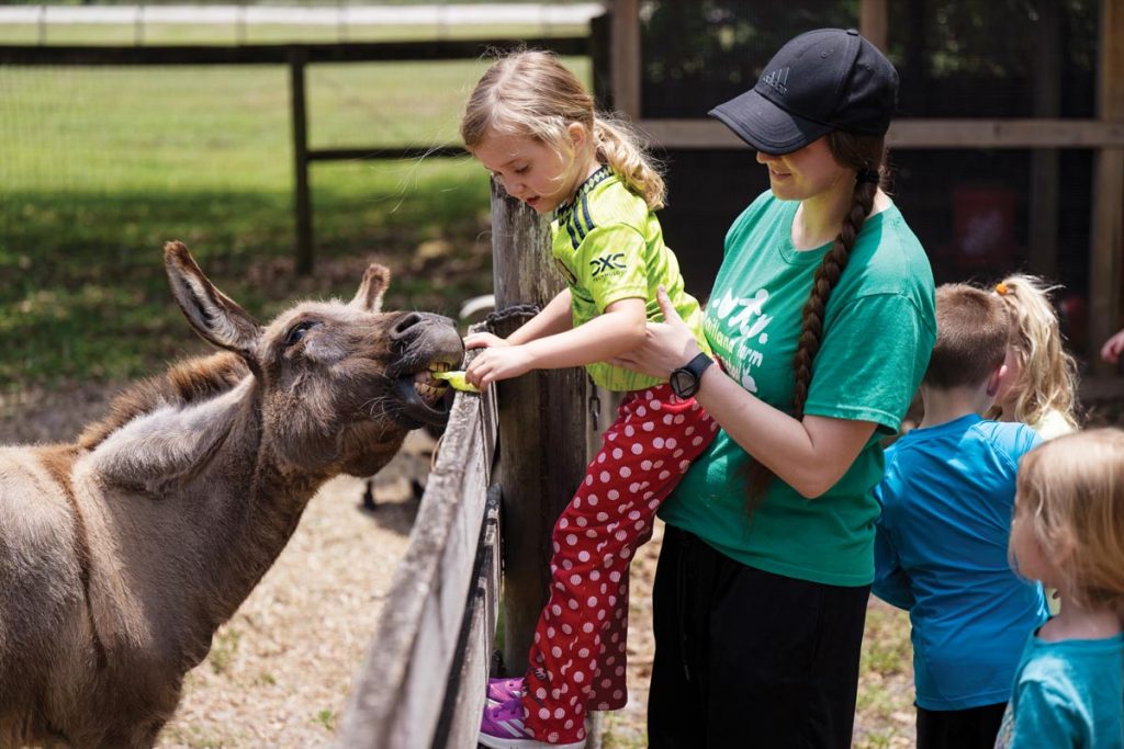 Sammy the donkey takes a snack from student Ava and her teacher, Roxane Bujold. Photo by Steven Martine