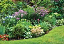 Treat the Garden to an August Refresh Prepare gardens for cooler months ahead. Photo courtesy of iStock