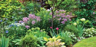 Prepare gardens for cooler months ahead. Photo courtesy of iStock