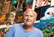 Behind the Fish-Eye Lens with Mike Ricciardi The walls of Mike Ricciardi’s home office are adorned with his underwater images. Photo by Steven Martine